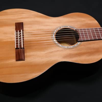 FA-15N 3/4 Nylon  Acoustic Guitars