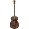 Ibanez PCBE12MH Acoustic/Electric Bass Guitar - Open Pore Natural