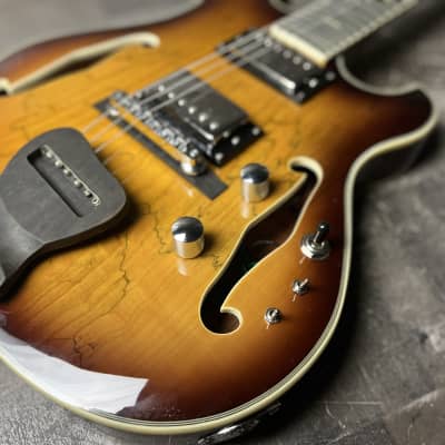 Zuwei Double cut semi hollow Tobacco Burst with gig bag!Channel your inner Phish image 4
