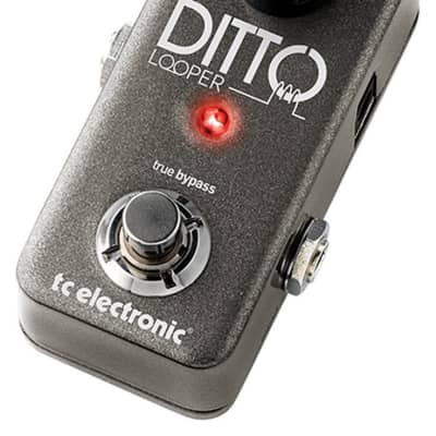 TC Electronic Ditto Looper Guitar Effects Pedal image 2