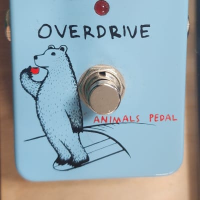 Animals Pedal Surfing Bear Overdrive - エフェクター