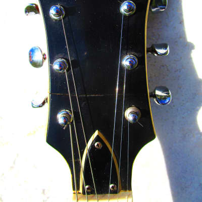 Univox 335 Style Guitar, 1960's, Japan, "Player", Case image 3