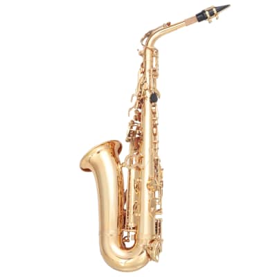 Glarry Alto Saxophone E-Flat Alto SAX Eb with 11reeds, case, carekit, Gold Color for Students image 10