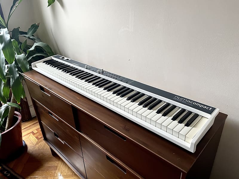 Studiologic Numa Compact 88Key SemiWeighted Piano Keyboard Reverb