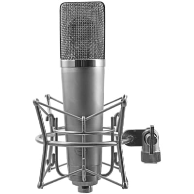 Peluso Microphone Lab P-67 Large Diaphragm Tube Condenser Microphone image 3