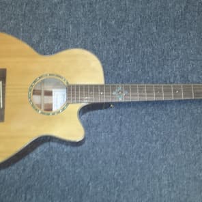 Takamine eg463sc top