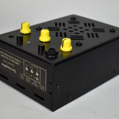 Critter & Guitari Terz Amplifier (Made for Third Man Records/Jack White) image 4