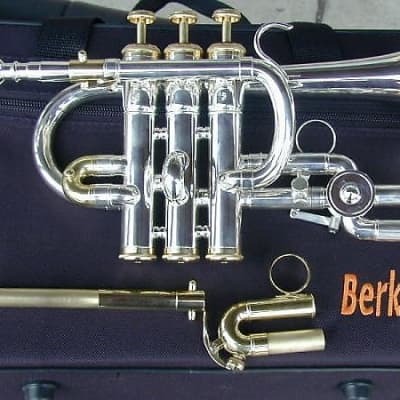 BerkeleyWind piccolo trumpet - Silver image 2