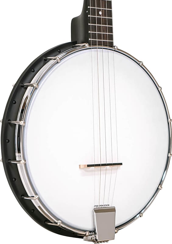 Gold Tone AC-1 Open Back 5-String Banjo image 1