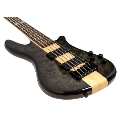 Spector NS-2000/5 Dan Briggs Signature Model 5-String Bass - Black/Walnut Stain image 4