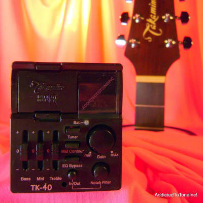 Takamine TK 40 G Series Preamp with Built in Chromatic Tuner Reverb