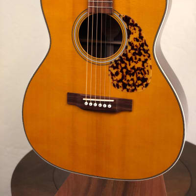 Blueridge Historic Series BR-163 OOO Guitar & Gigbag image 1