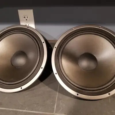 Lambda Acoustics Dipole-12 woofers made in 2002 | Reverb