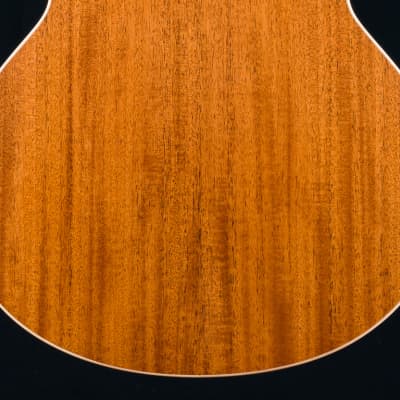 Lowden F-20 Sitka Spruce and Mahogany with Pickup NEW image 18