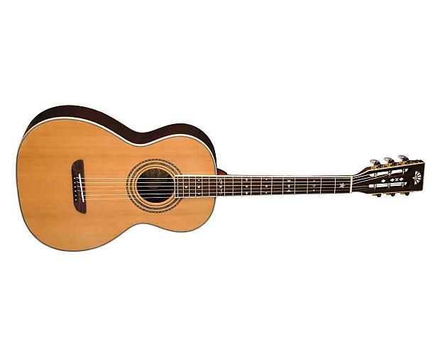 Washburn wp26sns outlet