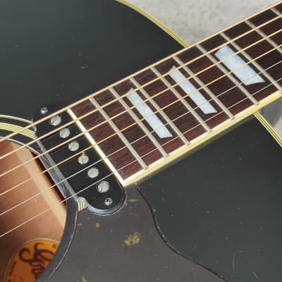 1981 Greco Japan W-404BSE Acoustic Guitar w/P90 Pickup 1981 Greco Japan W-404BSE Acoustic Guitar w/P90 Pickup