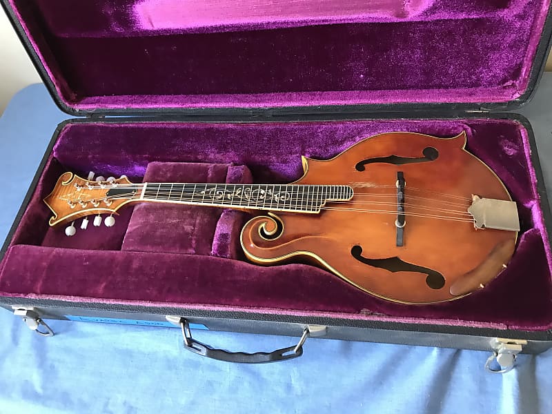 Alvarez A900 'Tree of Life' Mandolin Made in Japan. Reverb