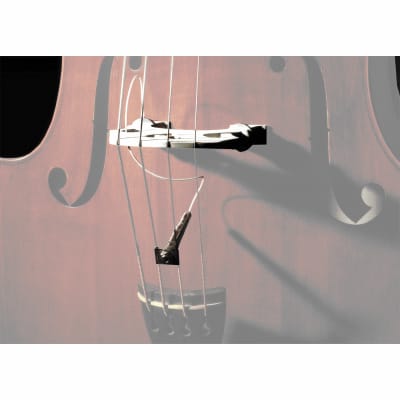 PRO-FCL-003 Full Circle Filetage 5/16-18 Contrebasse Fishman image 3
