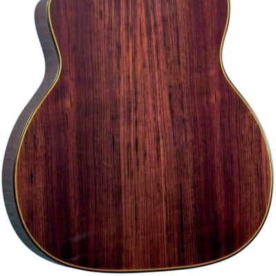 Gitane D-500 Solid Sitka Spruce Top, D Hole Maccaferri-Style Professional Gypsy Jazz Guitar image 4