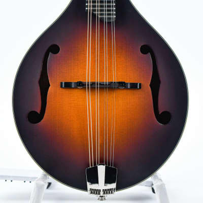 Eastman MD305E Sunburst image 5
