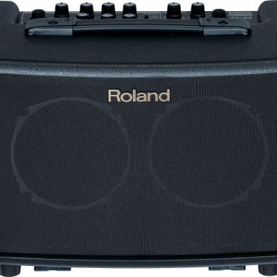 Roland AC-33RW 2-Channel 30-Watt 2x5" Acoustic Guitar Combo
