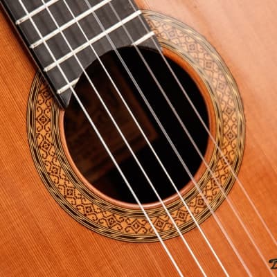 1995 Paris Banchetti Concert Classical, Brazilian Rosewood/Cedar image 22