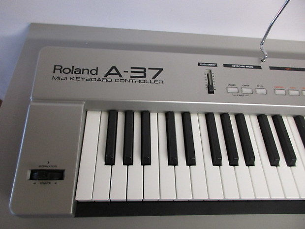 Roland A-37 Midi Keyboard Controller | Reverb