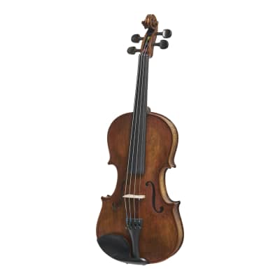 Stentor 1864A Verona Series Advanced Students Full Size 4/4 Violin Outfit w/Deluxe Case & Bow image 2