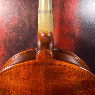Carlo Robelli CR209 Violin (Tampa, FL) image 5