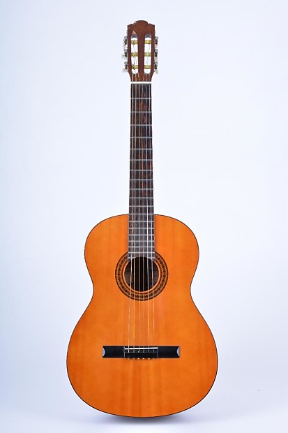 Fender gemini shop