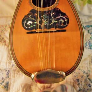 Thornward bowl back  mandolin 1900s "Restored" W / Hard Shell Case image 3