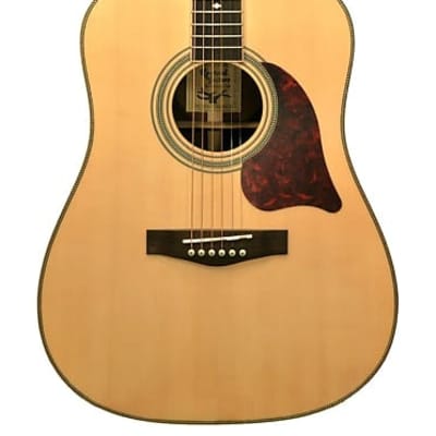 Revival  RG-24M Matte Solid Spruce Top Rosewood Dreadnought Nato Neck 6-String Acoustic Guitar image 3