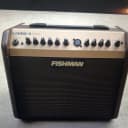Fishman Loudbox Mini  60 watt 2010s Brown