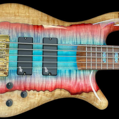 Spector USA NS-5XL Spalted Maple - Red Tide Shoreline Artisan Stain image 2