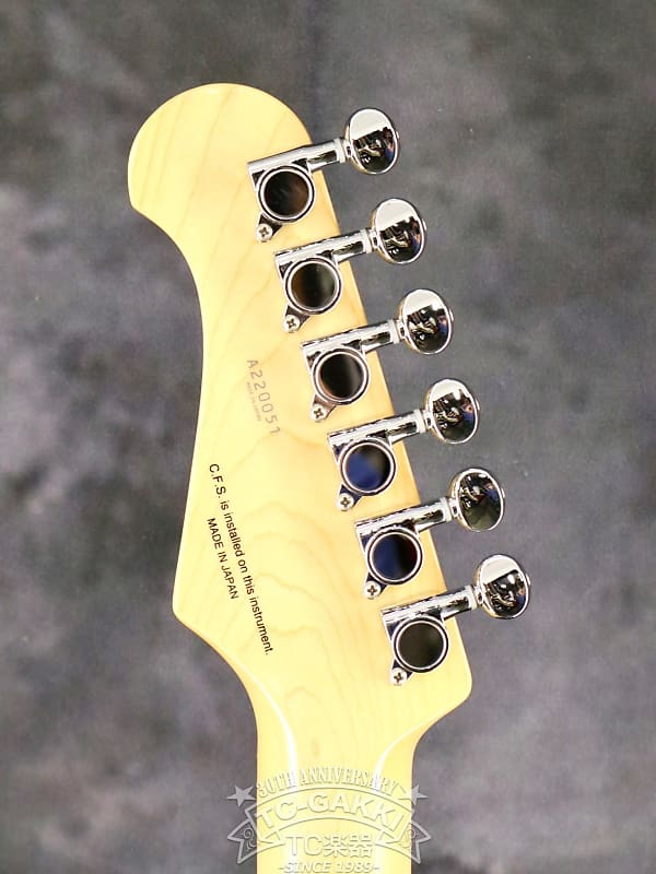 Fujigen (FGN) 2022 KNTE10R | Reverb