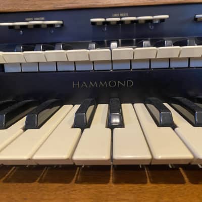 1960s Hammond M102 Organ image 3