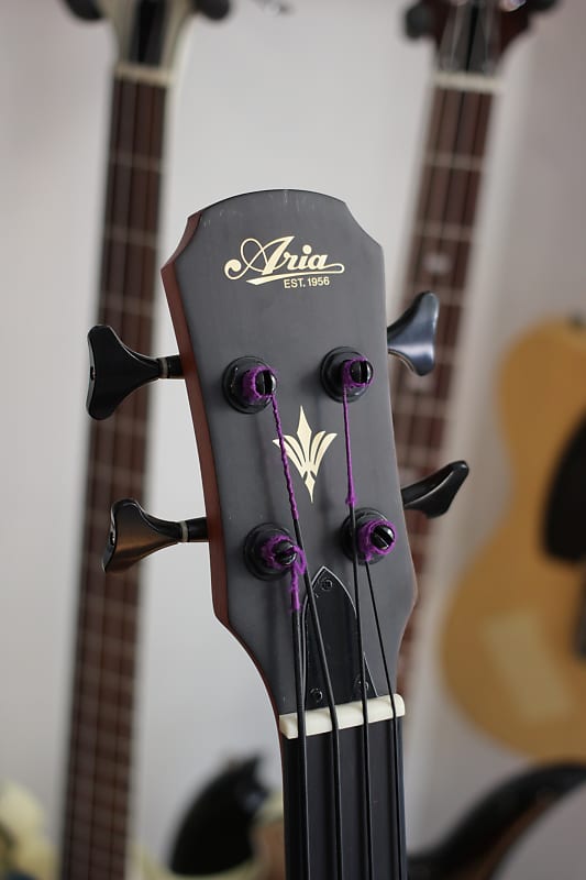 Aria FEB-F2 Acoustic Fretless Bass; Beautiful figured wood