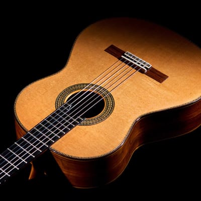 Manuel Contreras 10th Anniversary Premium Series 2008 Classical Guitar Cedar/CSA Rosewood image 6