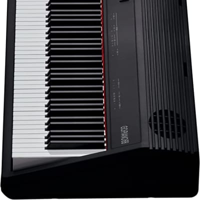 Roland Go-88P Piano | Reverb