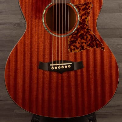 Tanglewood - TW47-RE for sale