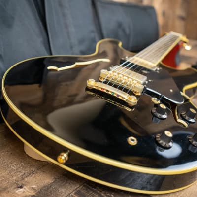 Aria Pro II TA-550 Semi Hollow Body Electric Guitar HH 1990