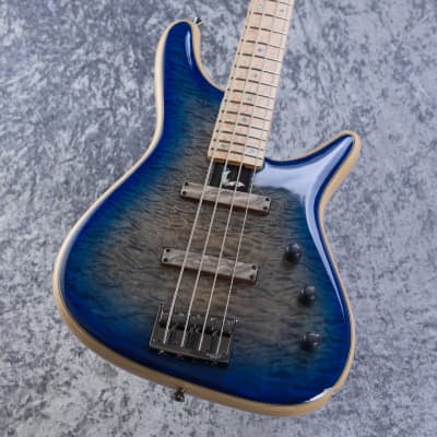 2024-25 秋冬新作  ハイブランドの Sugi bass guitars for sale in USA | guitar-list ベース