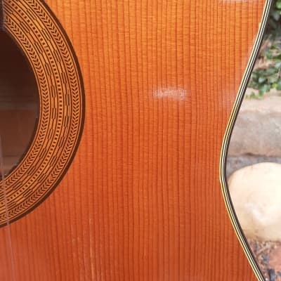 Vintage Framus 5/37 Classical Guitar, Made in W. Germany, 1966 image 5