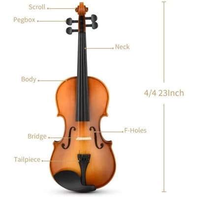 NEW OEM 4/4 Violin Set Full Size Fiddle for Adults Solid Wood with Two Bow EVA-330 image 2