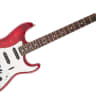 Fender Special Edition David Lozeau Art Stratocaster Electriic Guitar, Rosewood Fingerboard, Sacred Heart