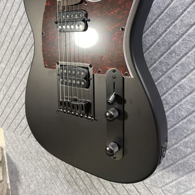 Harley Benton TE-20HH SkunkWerx Best Seller FretWerx In USA Fret Dress and Setup Included! Satin Black image 2