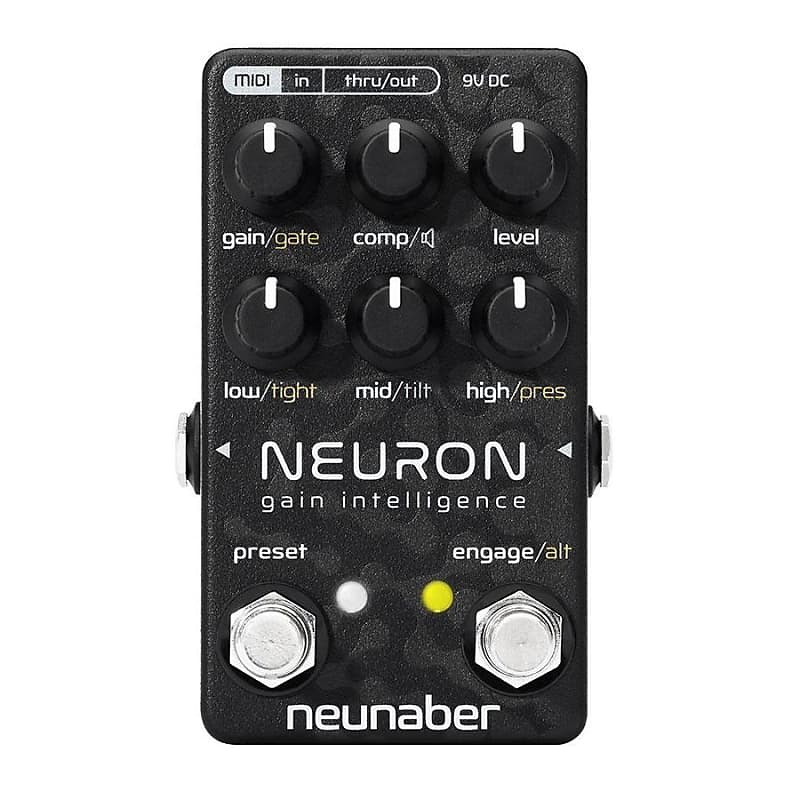 Neunaber Audio Neuron Gain Intelligence image 1