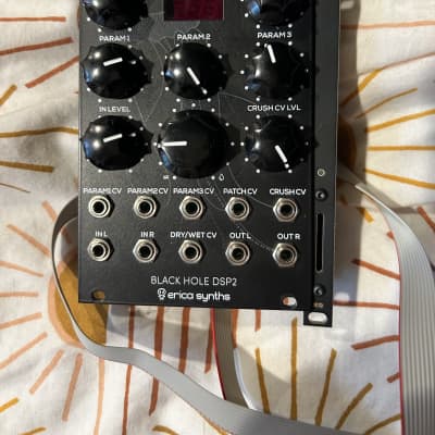 Erica Synths Black Hole DSP2 - Eurorack Module on ModularGrid