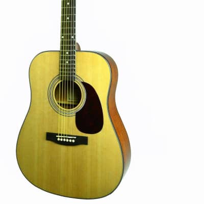Glen Burton SGA41-NT Conservatory Dreadnought Spruce Top Mahogany Neck 6-String Acoustic Guitar for sale