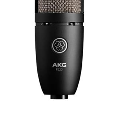 AKG P220 Cardioid Large Diaphragm Studio Condenser Microphone image 2